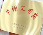 危重患者静脉血栓栓塞症防治——规范实施，防范未然